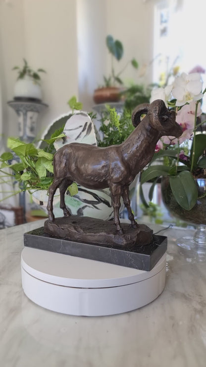Ibex, Wild Mountain Goat, Steinbock, Bouquetin Bronze Sculpture