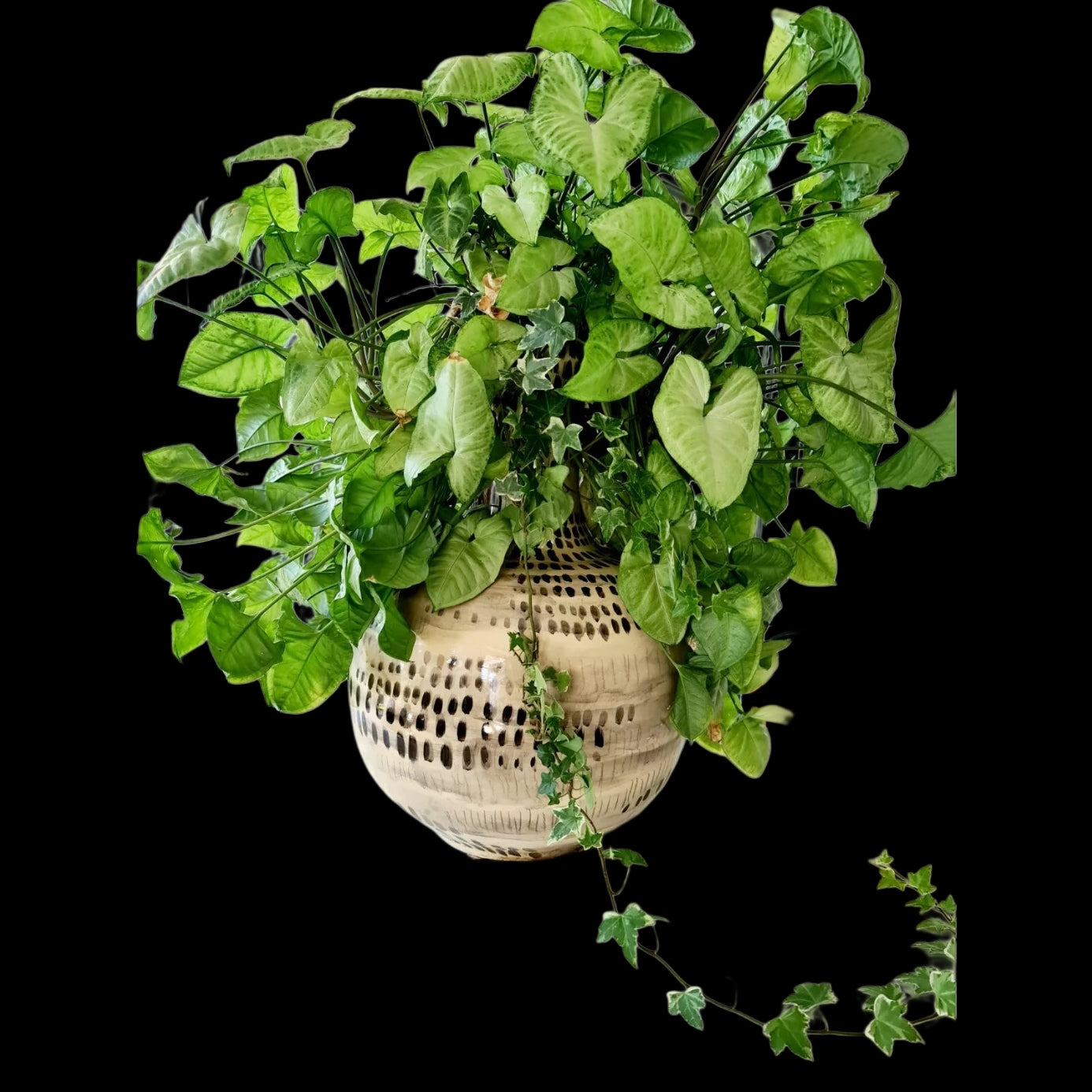 Large Hand Painted Vase Black Dots