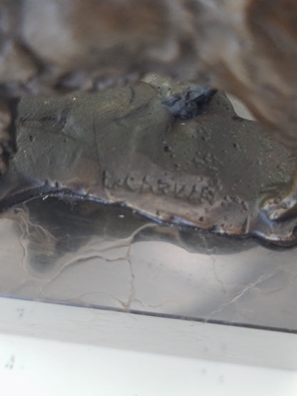 Spaniel Dog Solid Bronze Sculpture on Marble Base